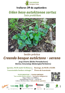 [:es]Sesión práctica (Basauri) Creando bosque autóctono-verano[:eu]Saio praktikoa (Basauri) Udan baso autoktonoa sortuz[:]