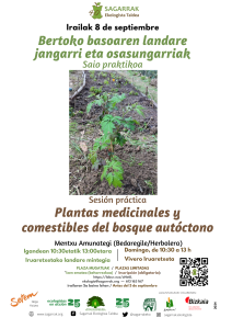 [:es]Sesión práctica (Basauri) Plantas medicinales y comestibles del bosque autóctono[:eu]Saio praktikoa (Basauri) Bertoko basoaren landare jangarri eta osasungarriak[:]